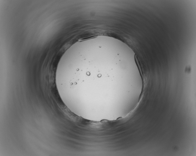 X0000114540190200911091141