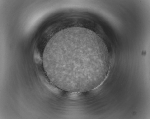 X0000114540191200911091141