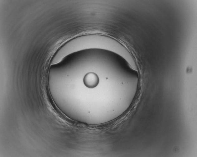 X0000114540193200911091141