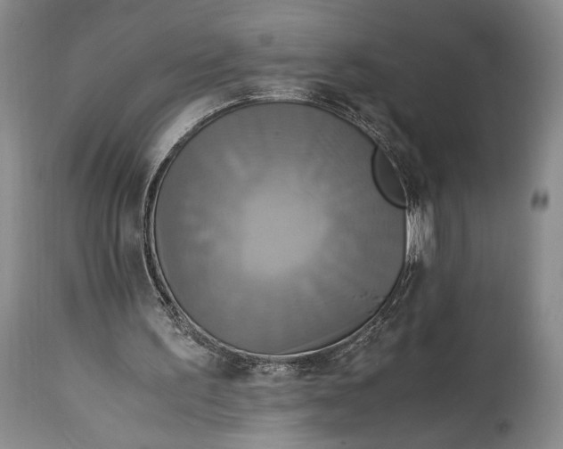 X0000114540195200911091141