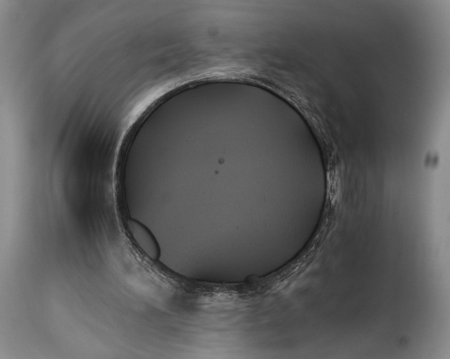 X0000114540196200911091141