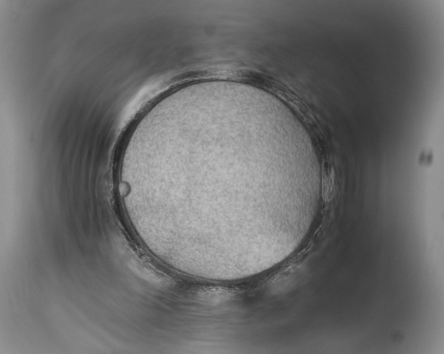 X0000114540198200911091141