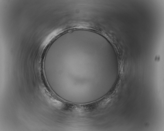 X0000114540199200911091141