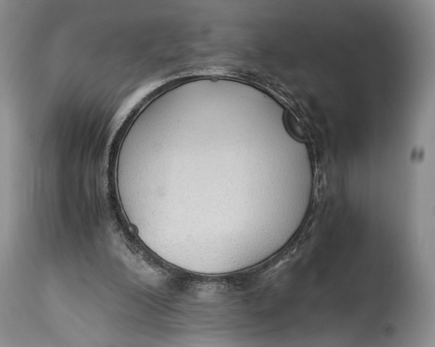 X0000114540200200911091141