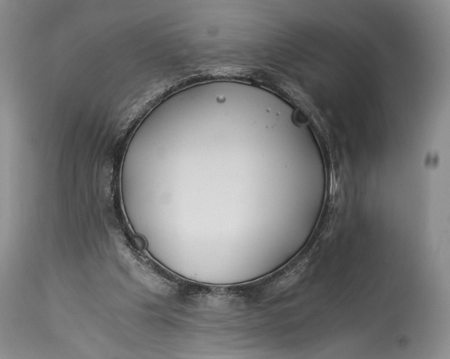 X0000114540201200911091141