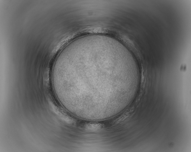 X0000114540202200911091141