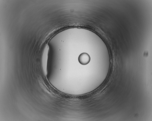 X0000114540203200911091141