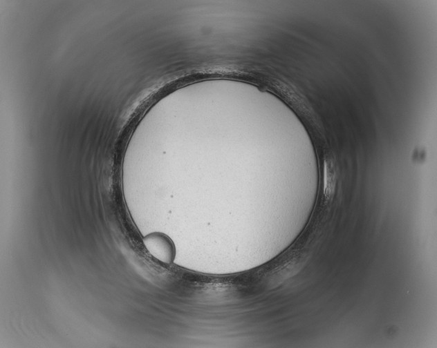 X0000114540204200911091141