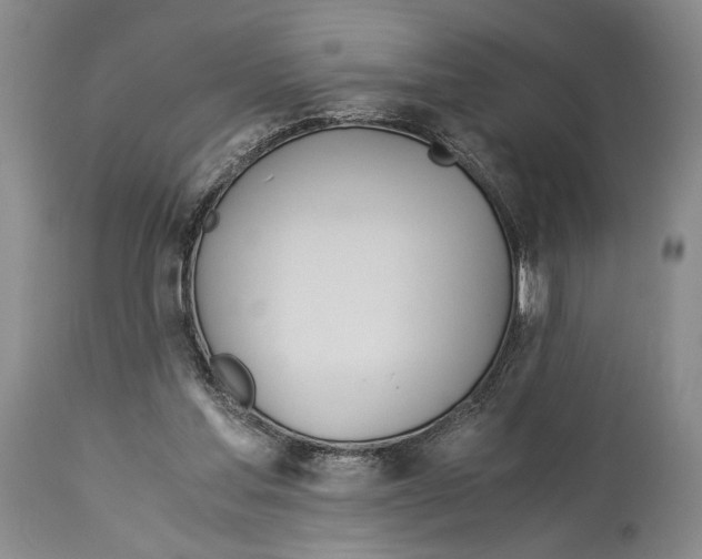 X0000114540205200911091141