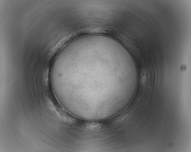 X0000114540206200911091141