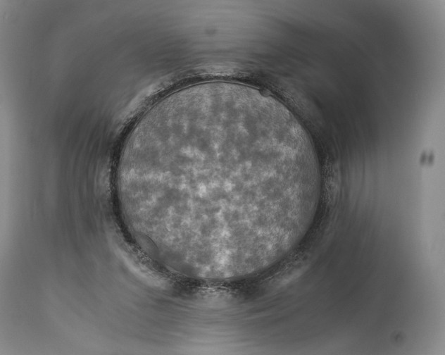 X0000114540207200911091141