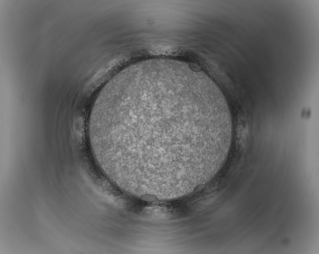 X0000114540211200911091140