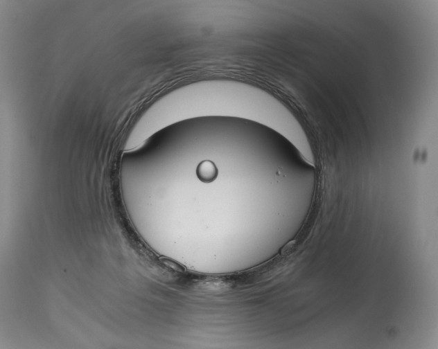 X0000114540217200911091140