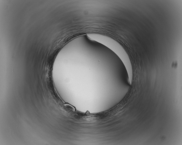 X0000114540219200911091140