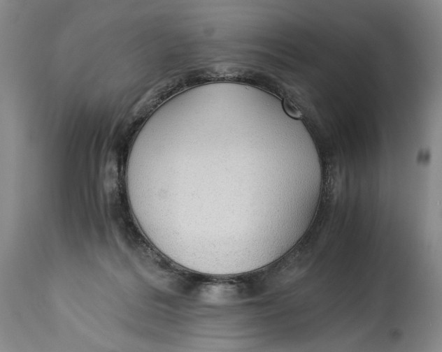 X0000114540220200911091140