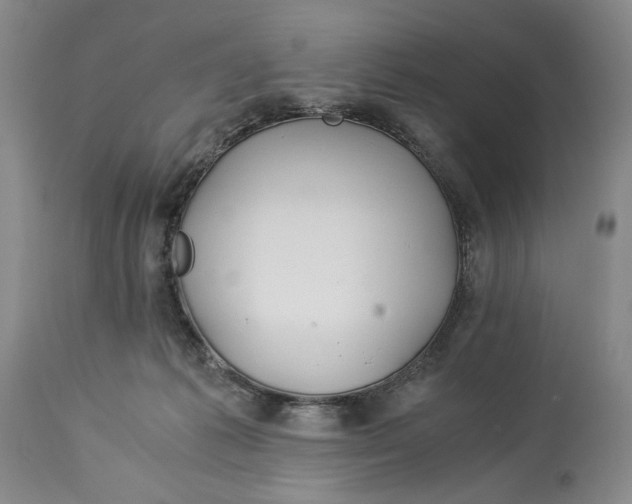 X0000114540221200911091140