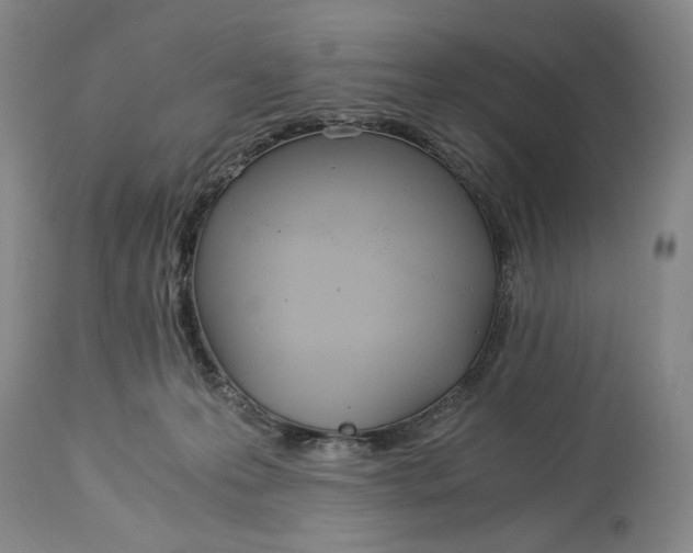 X0000114540223200911091140