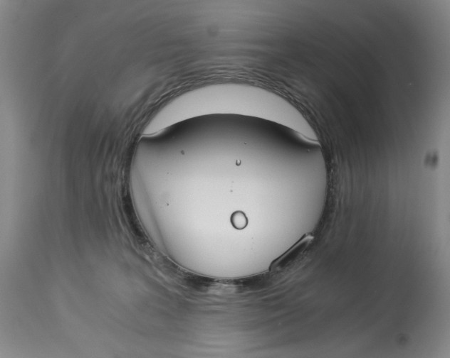 X0000114540227200911091140