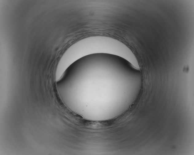 X0000114540229200911091140