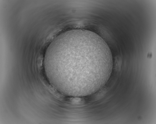 X0000114540230200911091140