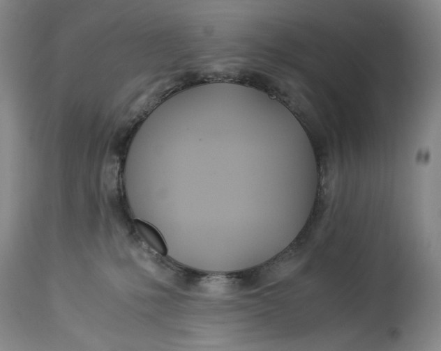 X0000114540231200911091140