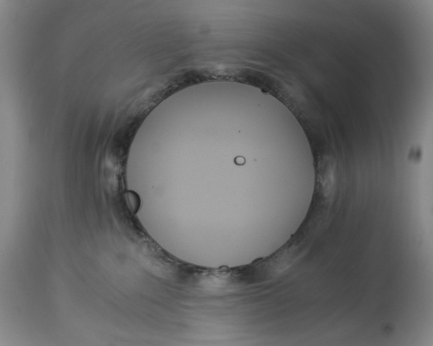 X0000114540235200911091140