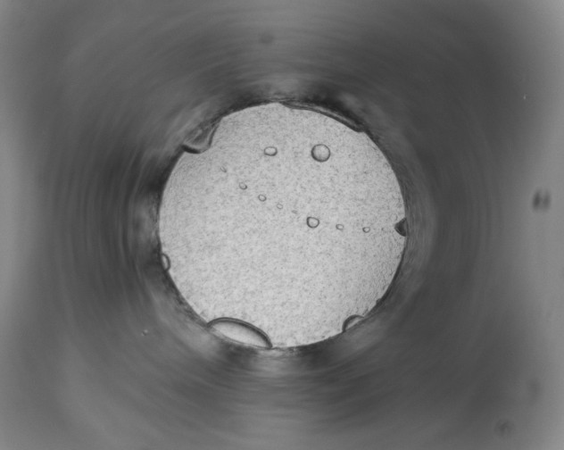 X0000114540240200911091140