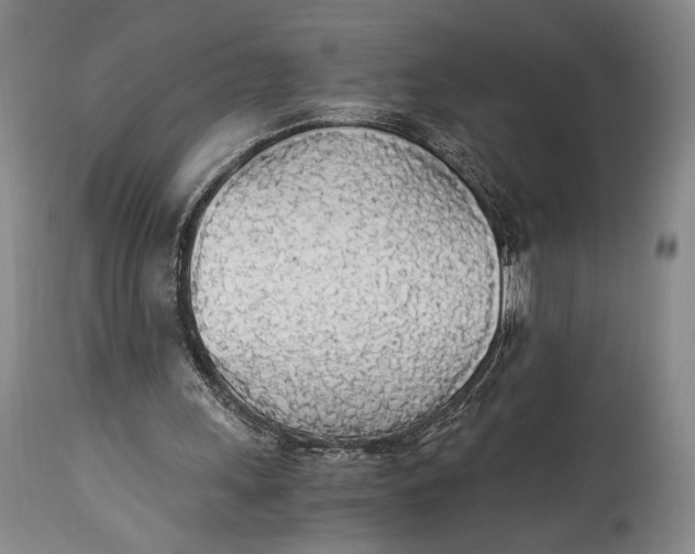 X0000114540243200911091139