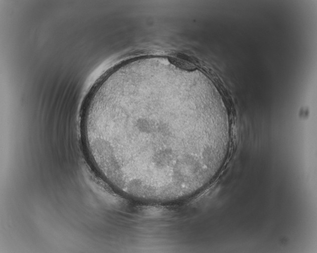 X0000114540246200911091139