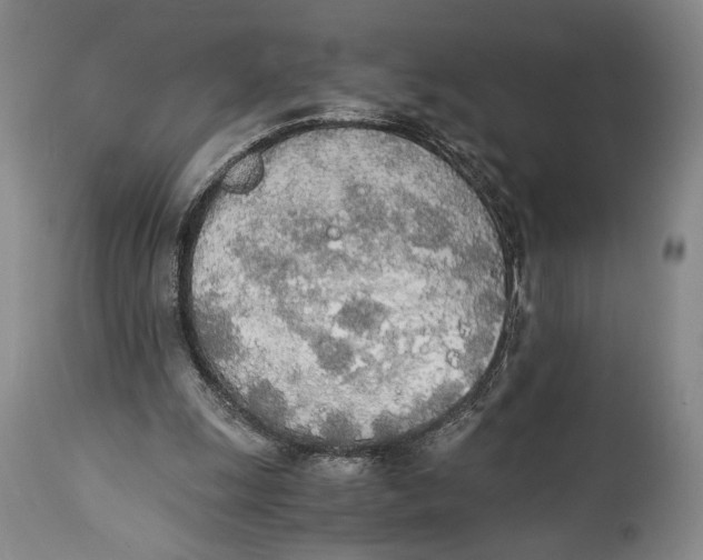 X0000114540247200911091139