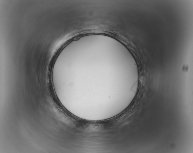 X0000114540248200911091139