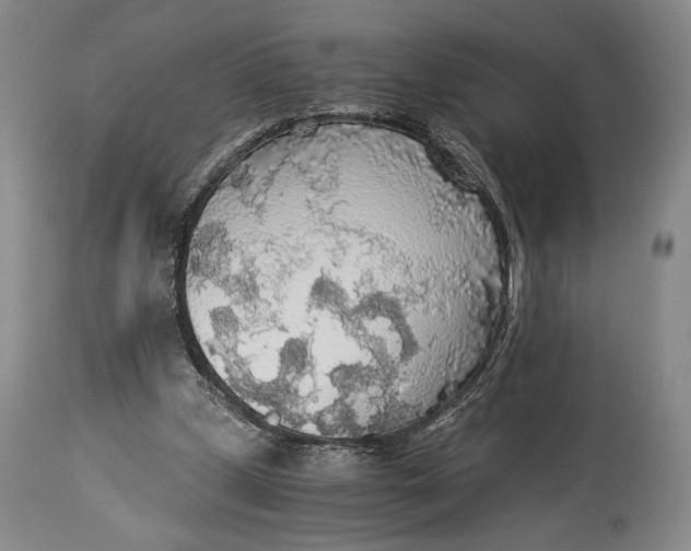 X0000114540249200911091139