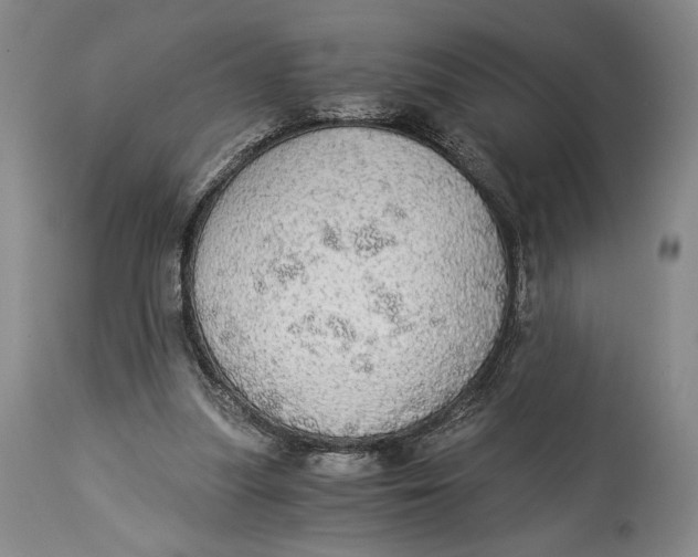 X0000114540251200911091140