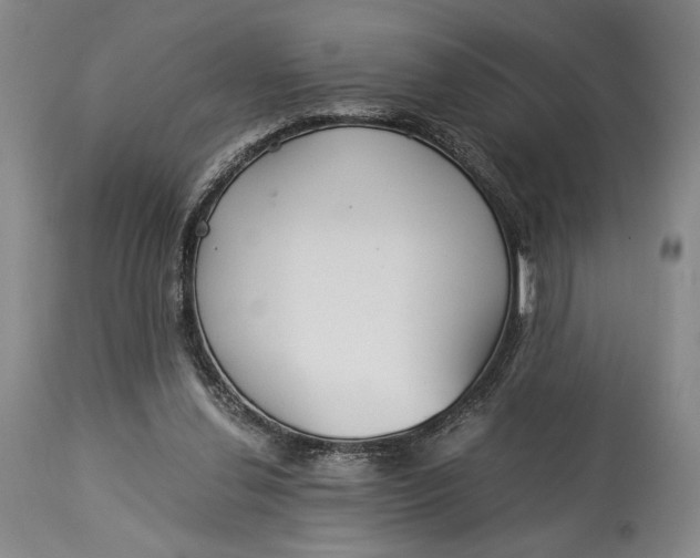 X0000114540252200911091140