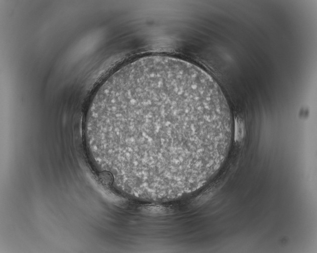 X0000114540253200911091140