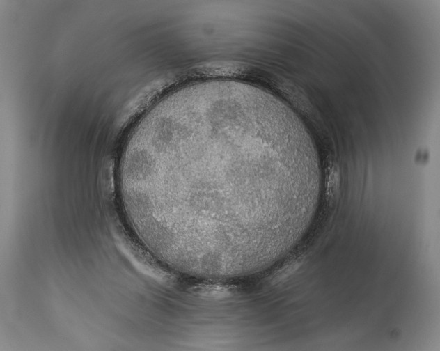 X0000114540254200911091140