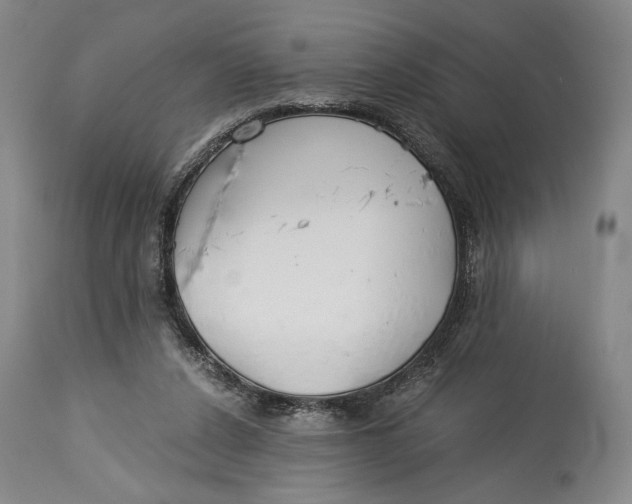 X0000114540256200911091140