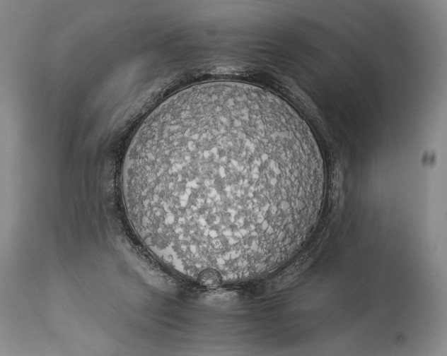 X0000114540257200911091140