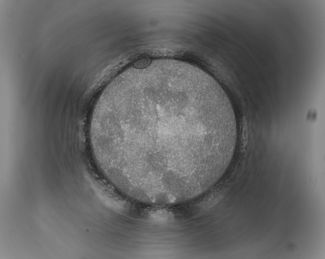 X0000114540258200911091140