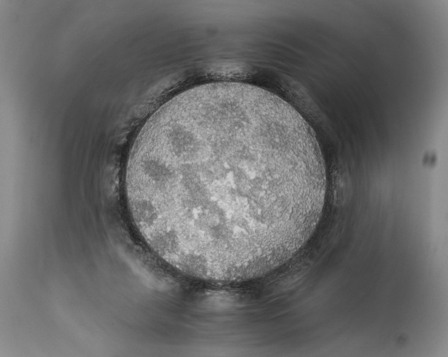 X0000114540259200911091140