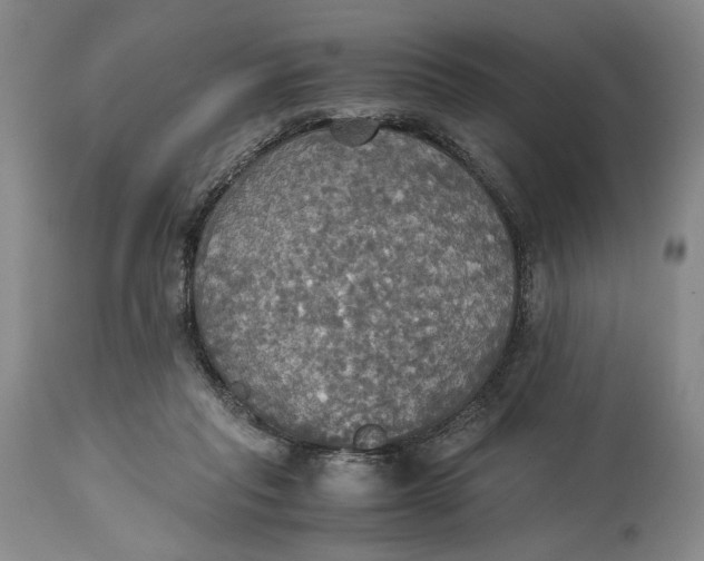 X0000114540261200911091140