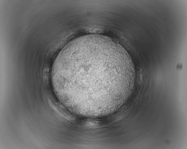 X0000114540263200911091140