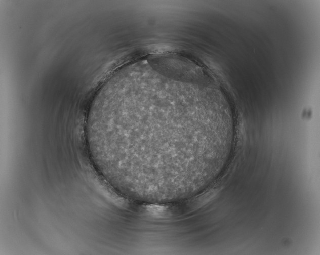 X0000114540265200911091140