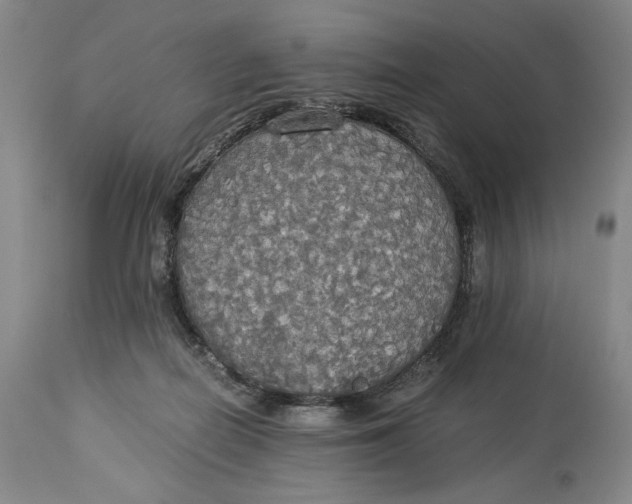 X0000114540266200911091140