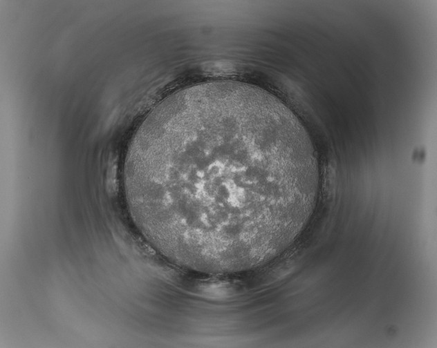 X0000114540267200911091140