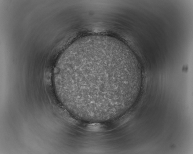 X0000114540269200911091140