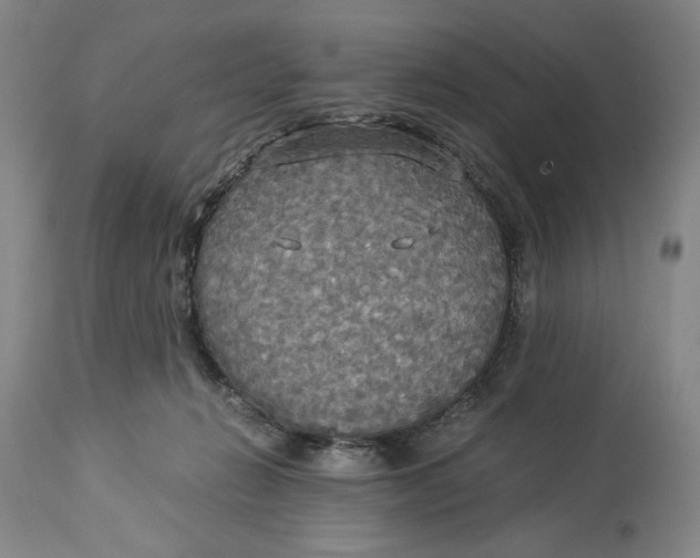 X0000114540270200911091140