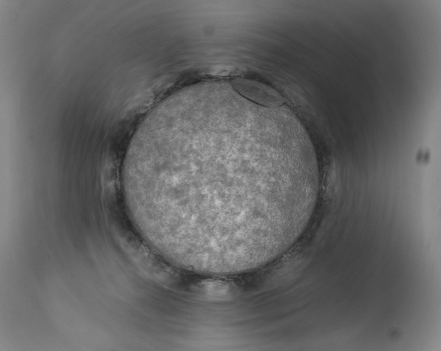 X0000114540272200911091140