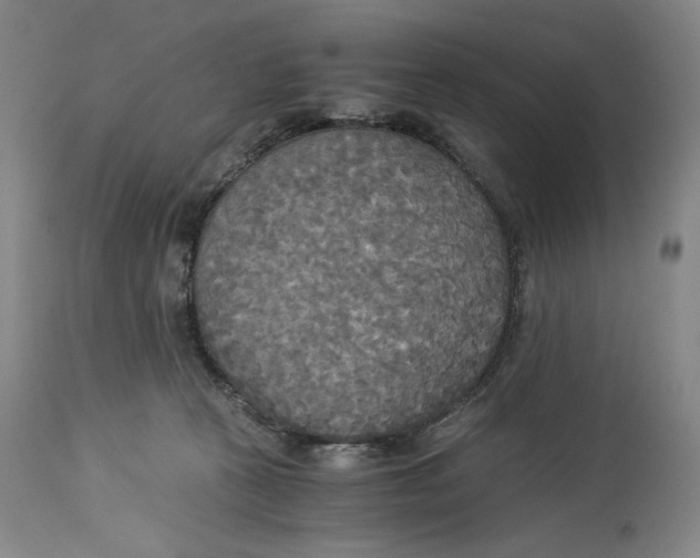 X0000114540273200911091140