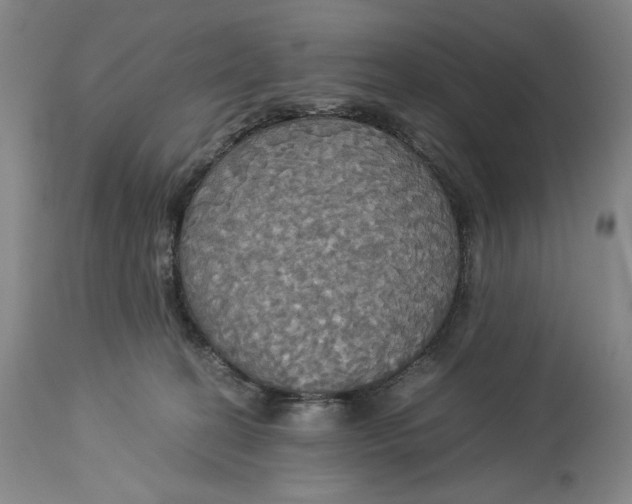 X0000114540274200911091140